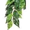 Exo Terra Ficus Kunstpflanze Für Terrarien 2 Exo Terra Ficus Kunstpflanze Für Terrarien -Pet Haus Verkauf exoterra ficus terrariumpflanze525548c59f4e0