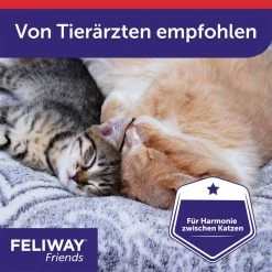 Feliway Friends 30-Tage Nachfüllflakon 48ml -Pet Haus Verkauf feliway friends 30 tage nachfullflakon 48ml 7k52wfhQ2rxeDs