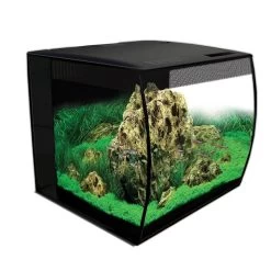 Fluval Aquarium Flex Set 57 L -Pet Haus Verkauf fluval aquarium flex set 57 l schwarz 45f5b2ba1772b5