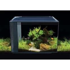 Fluval Aquarium SPEC XV 60 L. Schwarz -Pet Haus Verkauf fluval aquarium spec xv 60 l schwarz 10
