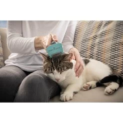 FURminator Katze Kurzhaar Bürste Für Unterwolle -Pet Haus Verkauf furminator katze buerste unterwolle s alle