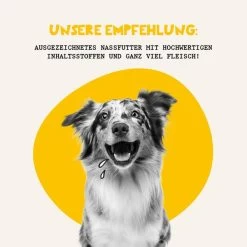 Dogs'n Tiger Mahlzeit! Nassfutter Huhn Mit Karotte -Pet Haus Verkauf futterungsempfehlung hundenassfutter 6IiA12I64UQQqW