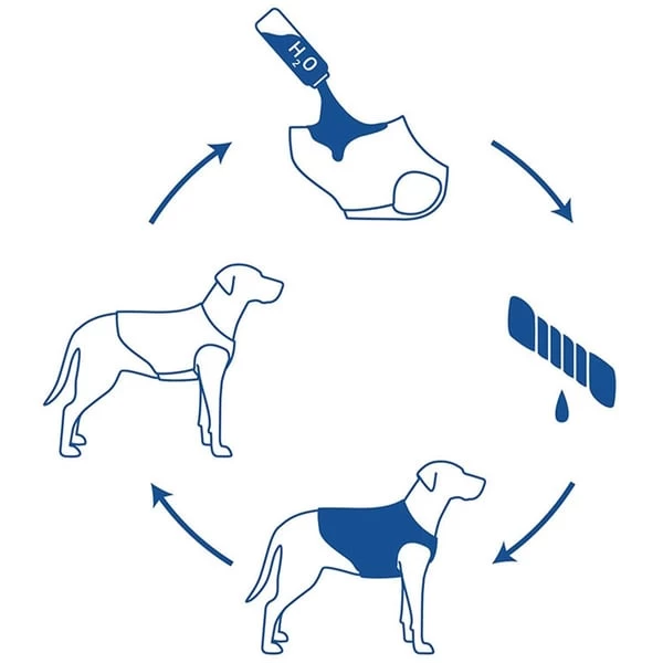 GF Pet ELASTOFIT Kühlweste 6 GF Pet ELASTOFIT Kühlweste – Bild 4