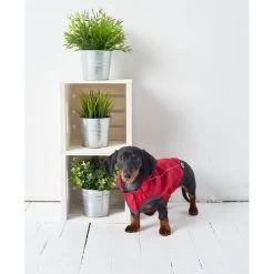 GF Pet Elastofit Regenmantel Rot -Pet Haus Verkauf gfpet regenmantel rot 6