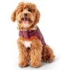 GF Pet Reversible Trail Jacke Burgund -Pet Haus Verkauf gfpet trail jacke burgund 4
