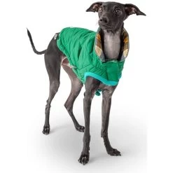 GF Pet Reversible Trail Jacke Grün