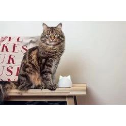 SureFeed Mikrochip Futterautomat Connect + Hub 18 SureFeed Mikrochip Futterautomat Connect + Hub -Pet Haus Verkauf hub 25d316bf24a70a