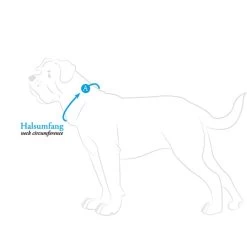 Hunter Halsband Aalborg Cognac -Pet Haus Verkauf hunter halsumfang608ac57e986c2