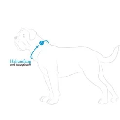 Hunter Halsung Divo Hellblau 13 Hunter Halsung Divo Hellblau -Pet Haus Verkauf hunter halsumfang608ac670c8f08