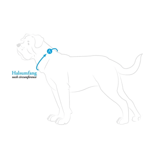 Hunter Halsung Divo Hellblau 8 Hunter Halsung Divo Hellblau – Bild 6