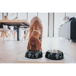 Hunter Napfunterlage Selection Transparent -Pet Haus Verkauf hunter selection napfunterlage 2 stck transparent 3