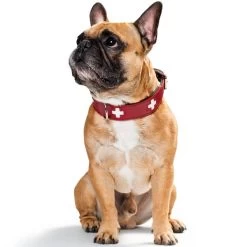 Hunter Swiss Halsband Rot/schwarz -Pet Haus Verkauf hunter swiss halsband rot schwarz 2