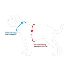 Hunter Geschirr Maldon Petrol -Pet Haus Verkauf hunter umfang608ac71f9080b