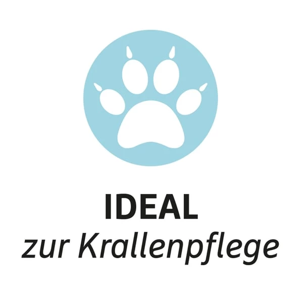 ZooRoyal Kratzbaum Ida 60cm 9 ZooRoyal Kratzbaum Ida 60cm – Bild 7