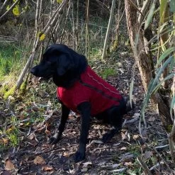 IEnergy OSC Isolierende Outdoor-Hundejacke -Pet Haus Verkauf ienergy osc hundejacke 5