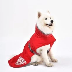 IEnergy JUD Hundewintermantel -Pet Haus Verkauf ienergy wintermantel jud 5