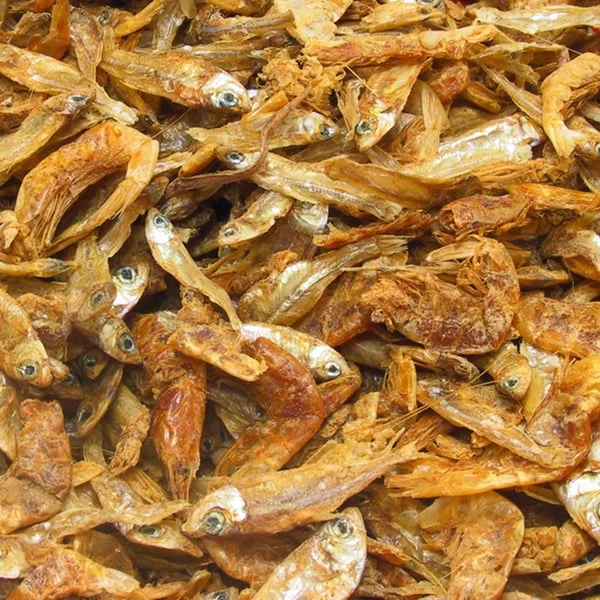 JBL Energil 5 JBL Energil – Bild 3