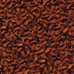 JBL ProPond Shrimp Snack Für Koi 1,0 Kg 7 JBL ProPond Shrimp Snack Für Koi 1,0 Kg -Pet Haus Verkauf jbl propond shrimp snack fuer koi 1 0 kg 3