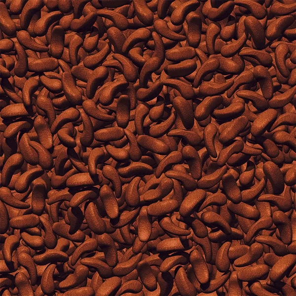 JBL ProPond Shrimp Snack Für Koi 1,0 Kg 5 JBL ProPond Shrimp Snack Für Koi 1,0 Kg – Bild 3