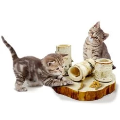 JR Farm Back To Instinct Cat Fun-Park -Pet Haus Verkauf jr cat btI fun park 4