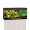 Juwel Rio 180 LED Komplett Aquarium Ohne Schrank 2 Juwel Rio 180 LED Komplett Aquarium Ohne Schrank -Pet Haus Verkauf juwel Rio 180 led sbx ohne schrank dunkles holz58fe09c4a9a8f