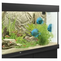 Juwel Motivrückwand Cliff Light -Pet Haus Verkauf juwel motivruckwand cliff light 1