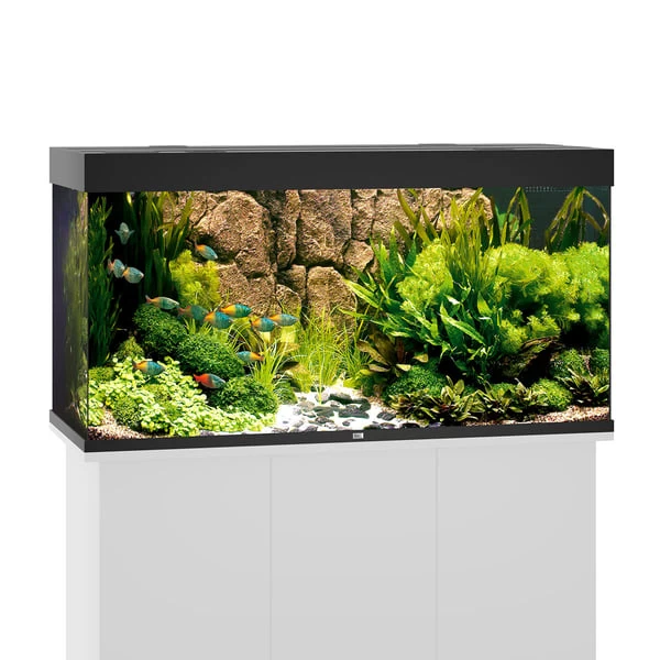 Juwel Rio 350 LED Komplett Aquarium Ohne Schrank 3 Juwel Rio 350 LED Komplett Aquarium Ohne Schrank
