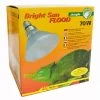 Lucky Reptile Bright Sun FLOOD Jungle -Pet Haus Verkauf lucky reptile bright sun flood jungle 70w5aabd133be346
