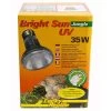 Lucky Reptile Bright Sun UV Jungle 35W -Pet Haus Verkauf lucky reptile bright sun uv jungle 35w