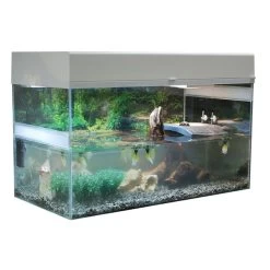 Lucky Reptile Terrarium Starter Kit 80 Cm "Wasserschildkröte" -Pet Haus Verkauf lucky reptile terrarium starter kit 80 cm wasserschildkrote schwarz 3