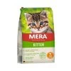 Mera Cat Kitten Huhn