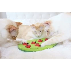 Nina Ottosson Puzzle & Play Buggin Out Intelligenzspielzeug 17 Nina Ottosson Puzzle & Play Buggin Out Intelligenzspielzeug -Pet Haus Verkauf nina ottosson inteligenz spielzeug buggin out web 7