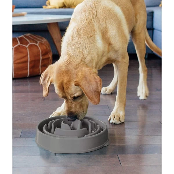 Outward Hound Fun Feeder Slo Bowl Anti Schling Drop Grey – Bild 6