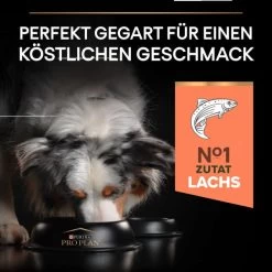 PRO PLAN Medium Adult Sensitive Skin Lachs -Pet Haus Verkauf pro plan medium adult sensitive skin lachs 4