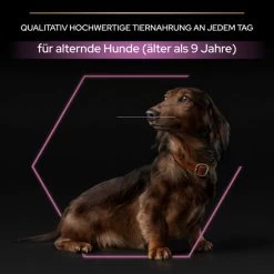 PRO PLAN Small & Mini Adult 9+ Huhn 13 PRO PLAN Small & Mini Adult 9+ Huhn -Pet Haus Verkauf pro plan small und mini adult 9plus huhn 5