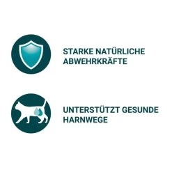 PURINA ONE Adult In Sauce Sorten-Mix 40x85g -Pet Haus Verkauf purinaone insauce sortenmix 2