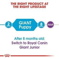 ROYAL CANIN Giant Puppy 3,5kg + Maxi Puppy In Soße 10x140g -Pet Haus Verkauf rc puppy maxi trocken 25f5a128d31622