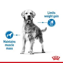 ROYAL CANIN LIGHT WEIGHT CARE MEDIUM Trockenfutter Für Zu Übergewicht Neigenden Hunden -Pet Haus Verkauf royalcanin lightweightcare medium 3