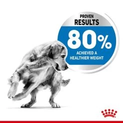 ROYAL CANIN LIGHT WEIGHT CARE MEDIUM Trockenfutter Für Zu Übergewicht Neigenden Hunden -Pet Haus Verkauf royalcanin lightweightcare medium 4