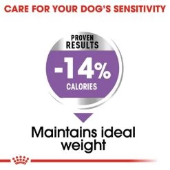 ROYAL CANIN STERILISED MAXI Trockenfutter Für Kastrierte Große Hunde -Pet Haus Verkauf royalcanin sterilised maxi 4
