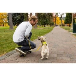 Ruffwear Geschirr Flagline Lichen Green 22 Ruffwear Geschirr Flagline Lichen Green -Pet Haus Verkauf ruffwear geschirr flagline lichen green web 9