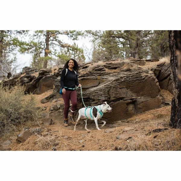 Ruffwear Geschirr Flagline Sage Green 14 Ruffwear Geschirr Flagline Sage Green – Bild 12