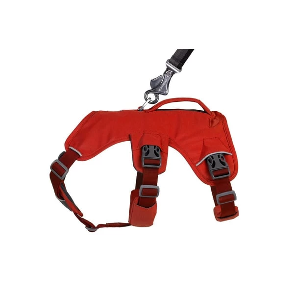 Ruffwear Geschirr Web Master Red Sumac 8 Ruffwear Geschirr Web Master Red Sumac – Bild 6