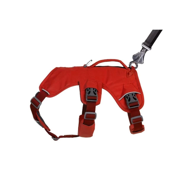 Ruffwear Geschirr Web Master Red Sumac 7 Ruffwear Geschirr Web Master Red Sumac – Bild 5