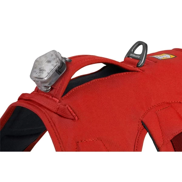 Ruffwear Geschirr Web Master Red Sumac 11 Ruffwear Geschirr Web Master Red Sumac – Bild 9