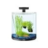 Tetra AquaArt Explorer Line Halfmoon Komplett-Set 30l -Pet Haus Verkauf tetra aquaart explorer line halfmoon komplett set 30l 2
