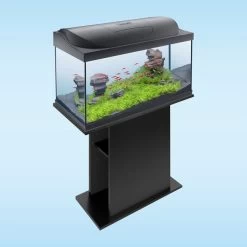 Tetra Starter Line LED Aquarium 105L 12 Tetra Starter Line LED Aquarium 105L -Pet Haus Verkauf tetra starterline led 105l 5NyikdpFD1xGcv