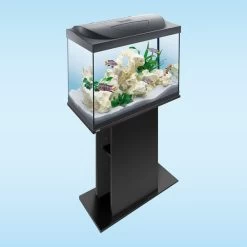 Tetra Starter Line LED Aquarium 80L -Pet Haus Verkauf tetra starterline led 80l 5ThYJNijn1f1VN
