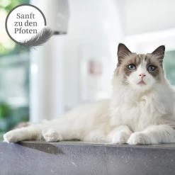 ZooRoyal Tigrooo Mit Babypuderduft -Pet Haus Verkauf tigrooo babypuderduft neu 12kg 3