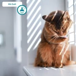 ZooRoyal Tigrooo Mit Babypuderduft -Pet Haus Verkauf tigrooo babypuderduft neu 12kg 8